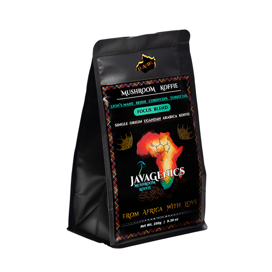 Mushroom coffee lions mane reishi cordyceps turkey tail