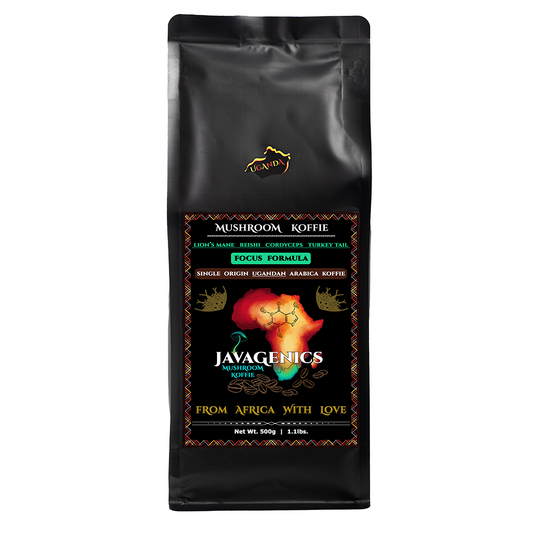 Mushroom coffee lions mane reishi cordyceps turkey tail