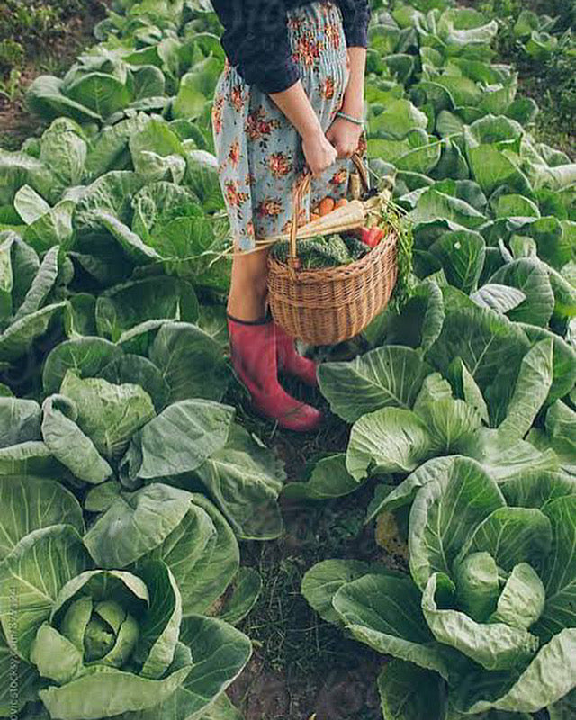 natural product from farm to your body